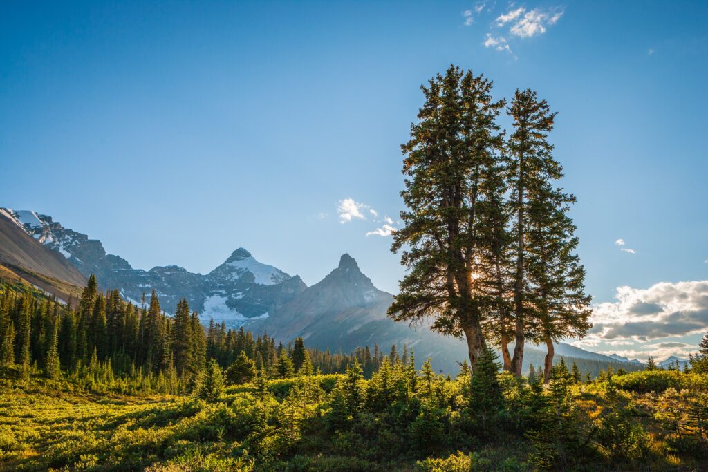 Jasper National Park, Canada : Most beautiful snowfall places around the world