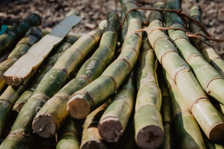 health benefits of sugarcane juice
