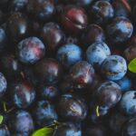 Health Benefits of Plums : Mohit Tandon Chicago