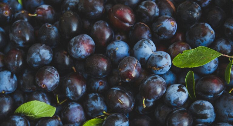 Health Benefits of Plums : Mohit Tandon Chicago