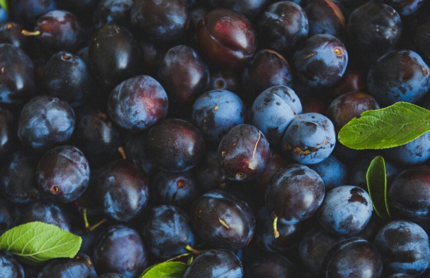 Health Benefits of Plums : Mohit Tandon Chicago